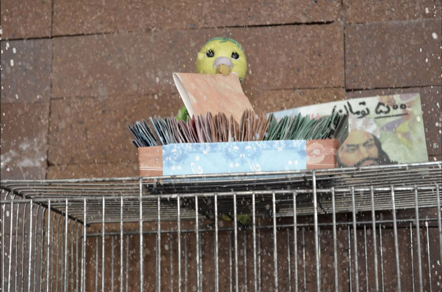 Stop Motion Puppe in Form eines Wellensittichs hat ein Papier im Schnabel